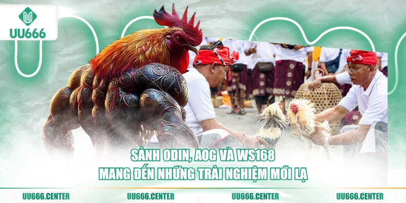 sanh-odin-aog-va-ws168-mang-den-nhung-trai-nghiem-moi-la